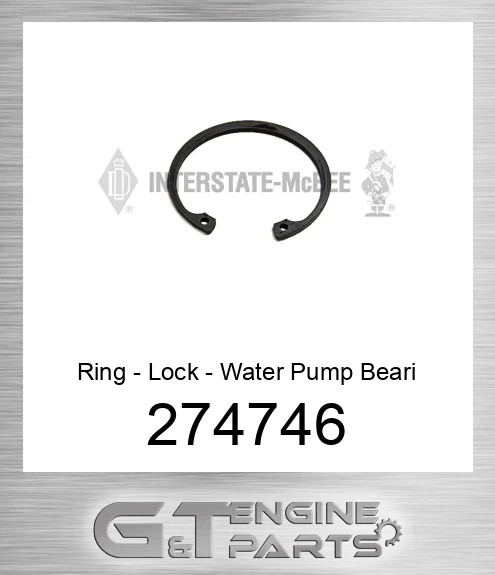 274746 Ring - Lock - Water Pump Beari