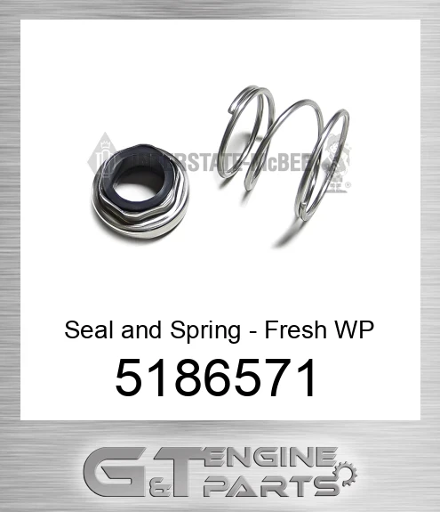 5186571 Seal and Spring - Fresh WP