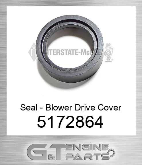 5172864 Seal - Blower Drive Cover