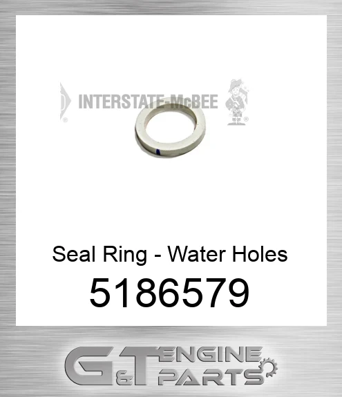 5186579 Seal Ring - Water Holes