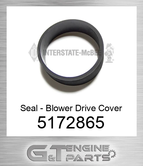 5172865 Seal - Blower Drive Cover