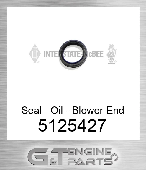 5125427 Seal - Oil - Blower End