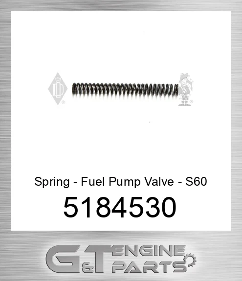 5184530 Spring - Fuel Pump Valve - S60