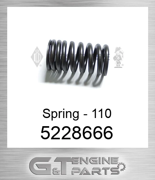 5228666 Spring - 110