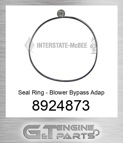8924873 Seal Ring - Blower Bypass Adap