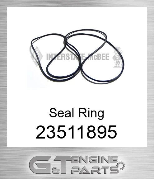 23511895 Seal Ring