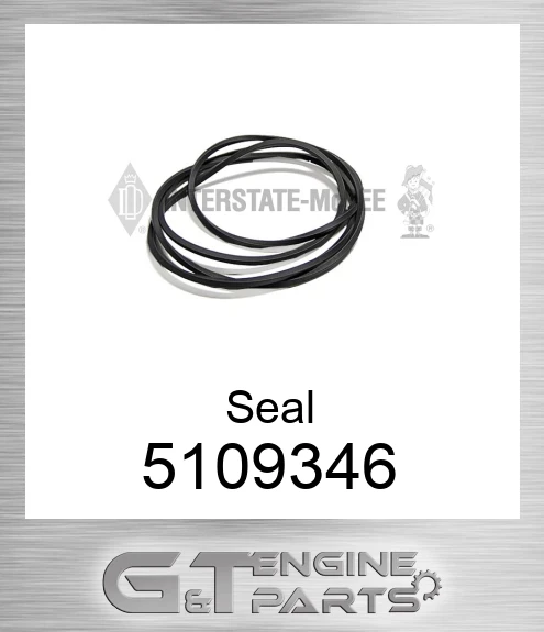 5109346 Seal
