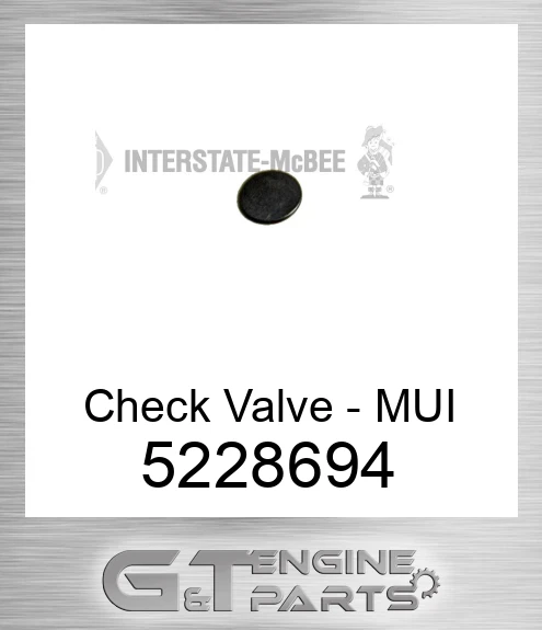 5228694 Check Valve - MUI