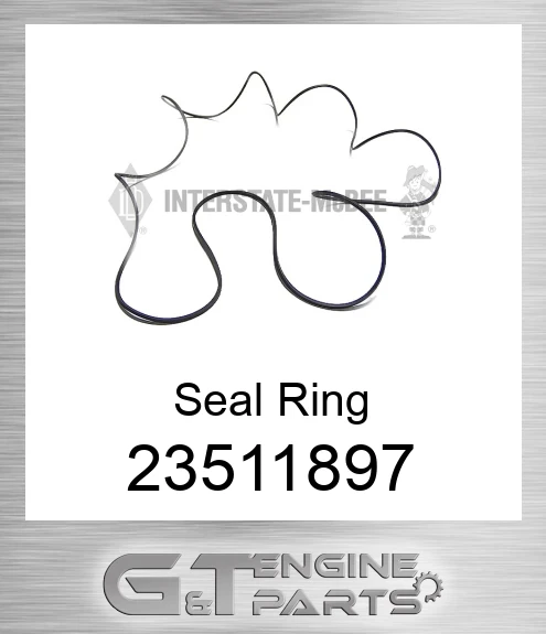 23511897 Seal Ring
