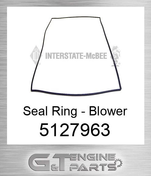 5127963 Seal Ring - Blower