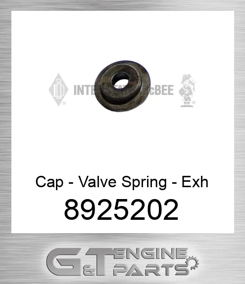 8925202 Cap - Valve Spring - Exh