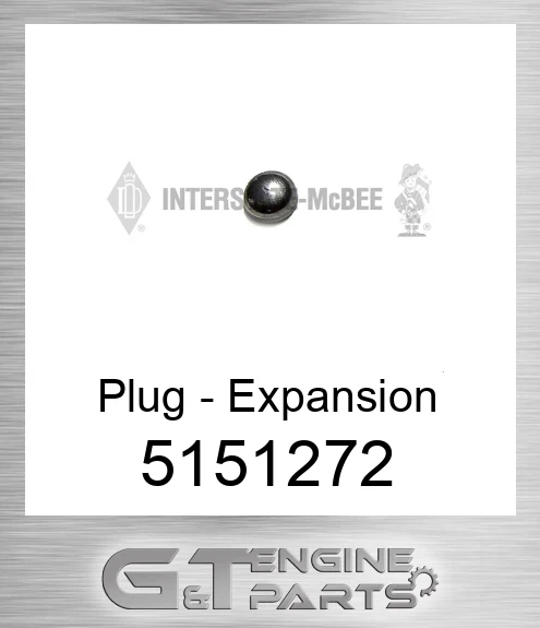 5151272 Plug - Expansion