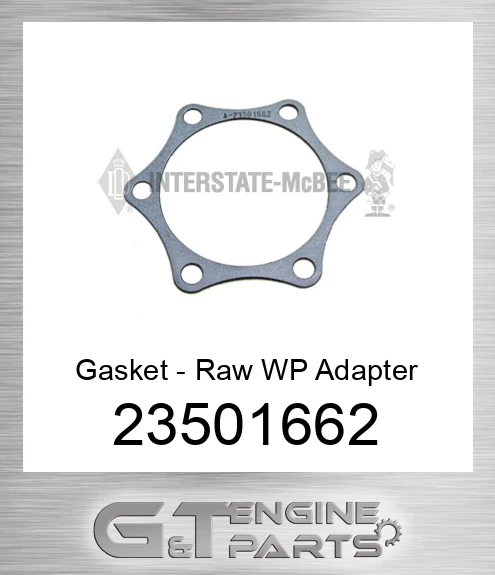 23501662 Gasket - Raw WP Adapter