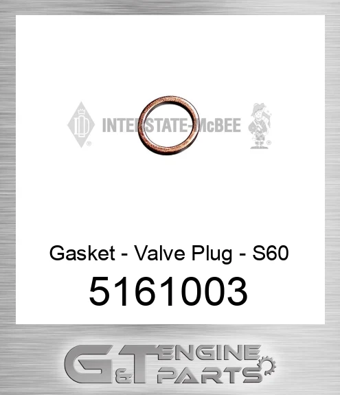 5161003 Gasket - Valve Plug - S60