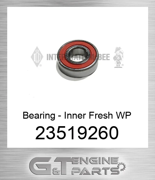 23519260 Bearing - Inner Fresh WP