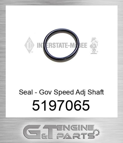 5197065 Seal - Gov Speed Adj Shaft