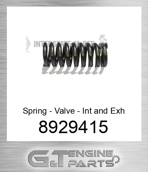 8929415 Spring - Valve - Int and Exh