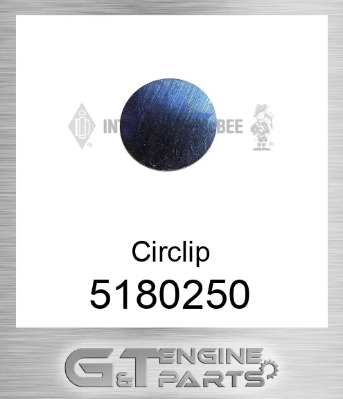 5180250 Circlip