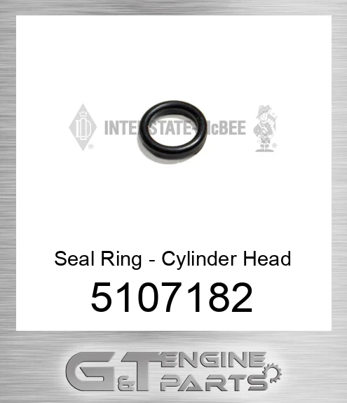5107182 Seal Ring - Cylinder Head