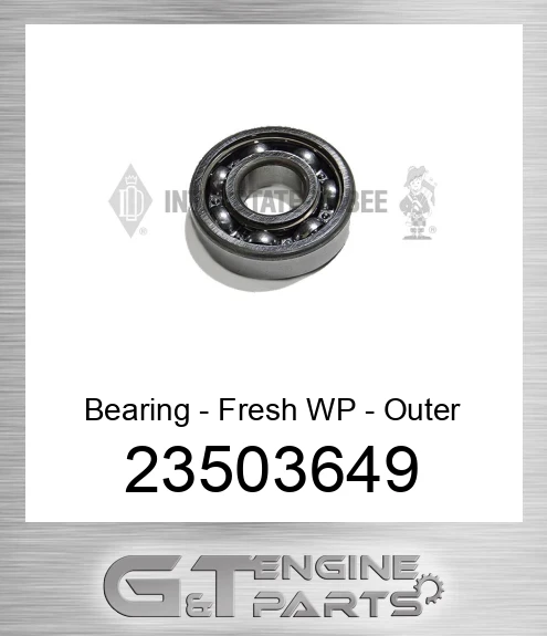 23503649 Bearing - Fresh WP - Outer