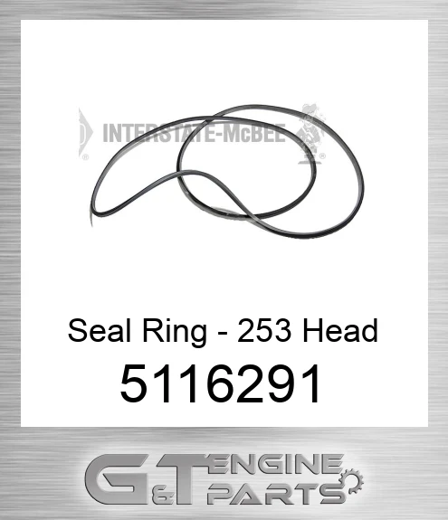 5116291 Seal Ring - 253 Head