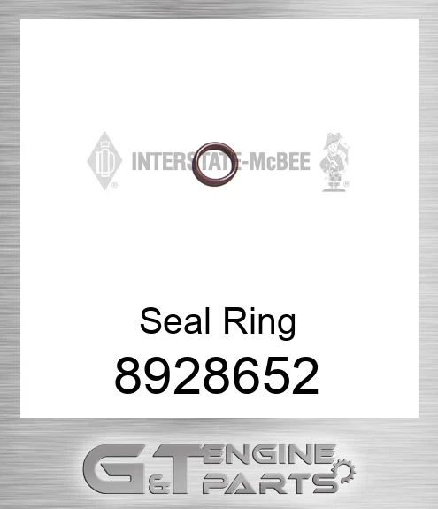 8928652 Seal Ring