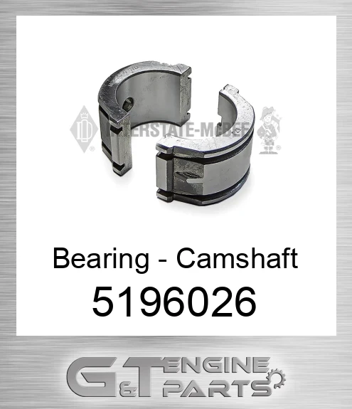 5196026 Bearing - Camshaft