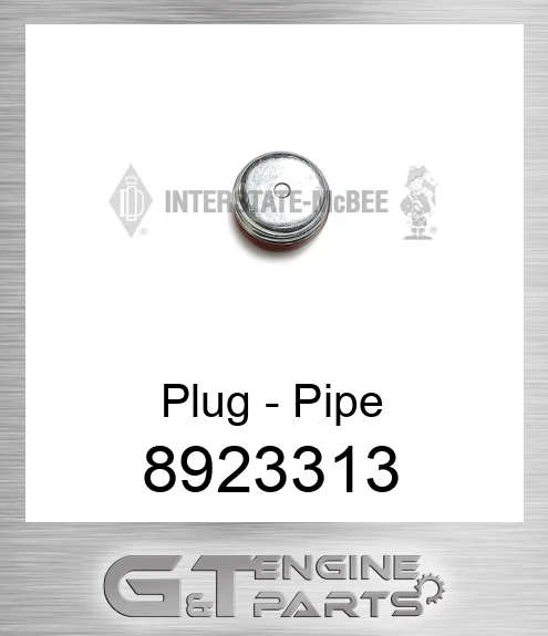 8923313 Plug - Pipe