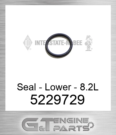 5229729 Seal - Lower - 8.2L