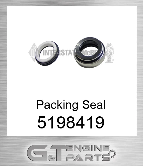 5198419 Packing Seal