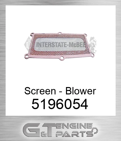 5196054 Screen - Blower