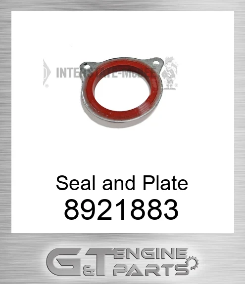 8921883 Seal and Plate