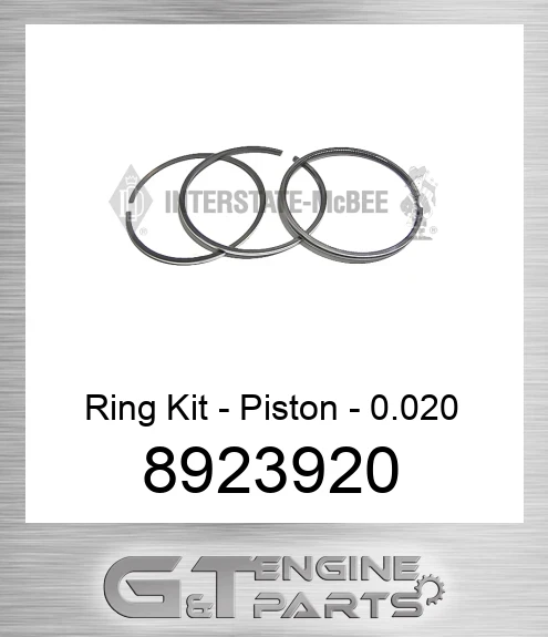 8923920 Ring Kit - Piston - 0.020