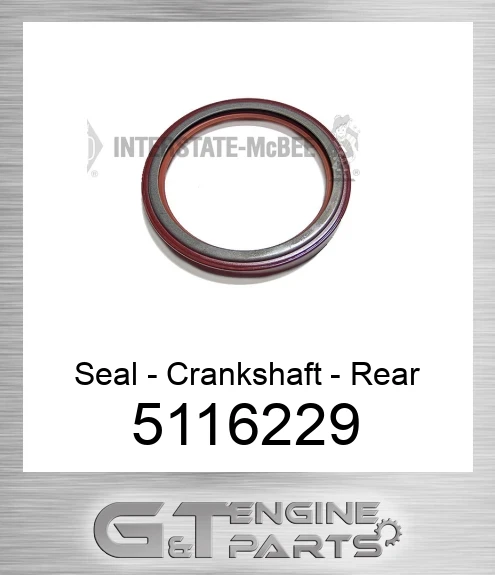 5116229 Seal - Crankshaft - Rear