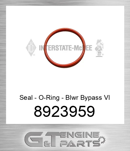8923959 Seal - O-Ring - Blwr Bypass Vl
