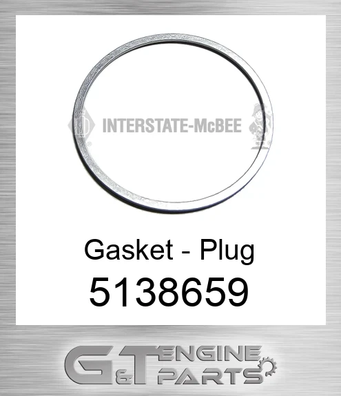 5138659 Gasket - Plug