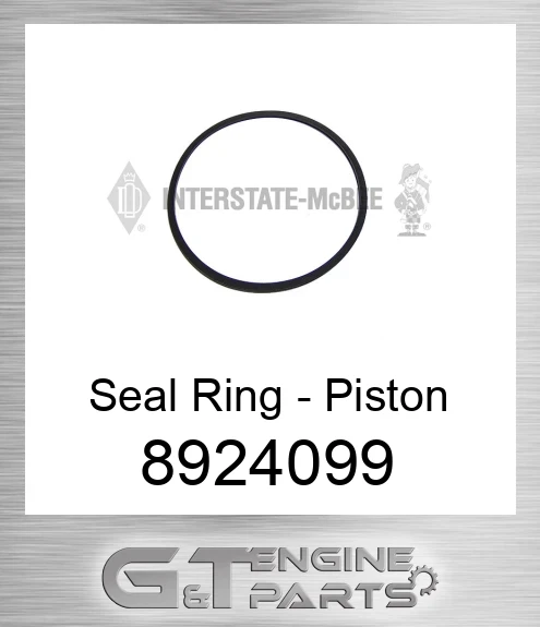 8924099 Seal Ring - Piston