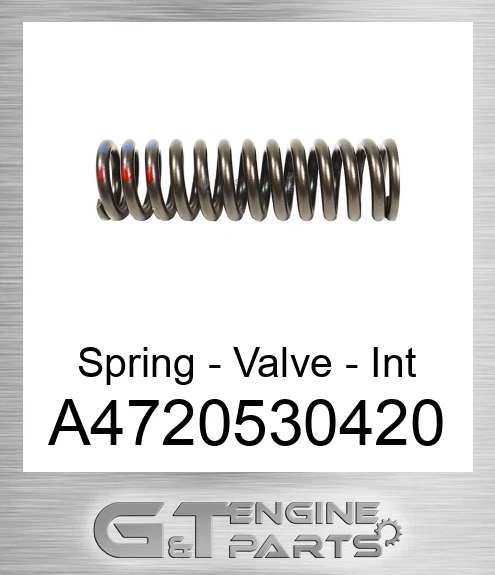 A4720530420 Spring - Valve - Int