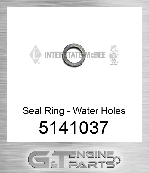 5141037 Seal Ring - Water Holes
