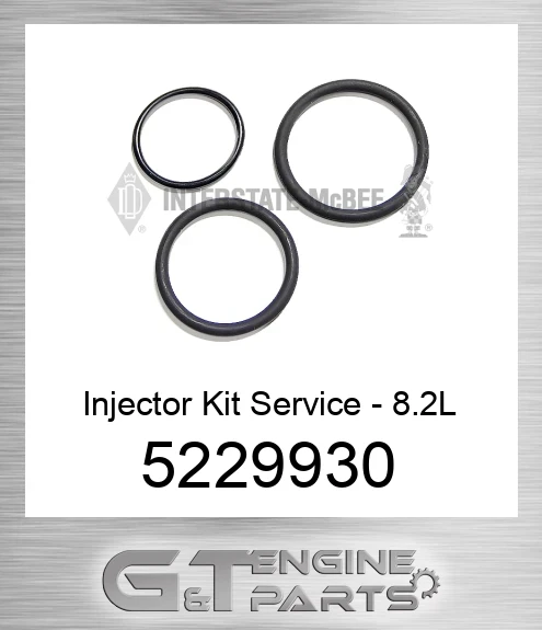 5229930 Injector Kit Service - 8.2L