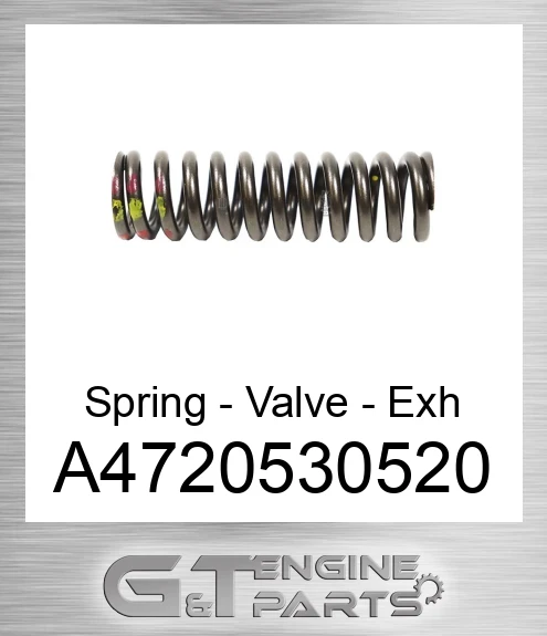 A4720530520 Spring - Valve - Exh