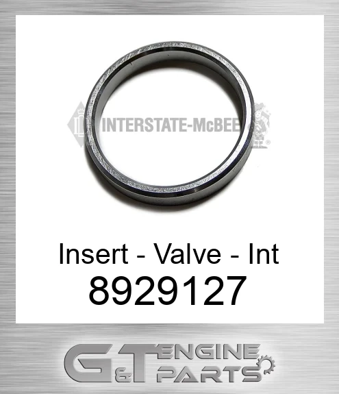 8929127 Insert - Valve - Int