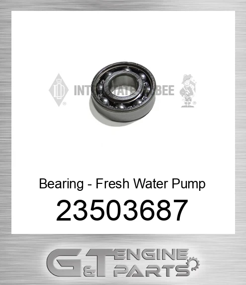 23503687 Bearing - Fresh Water Pump