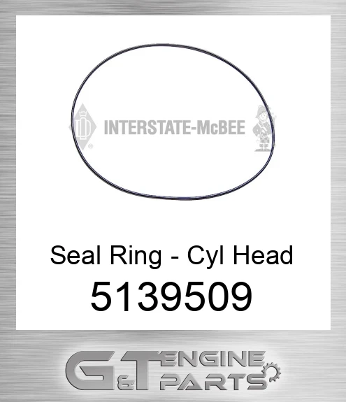 5139509 Seal Ring - Cyl Head