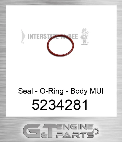 5234281 Seal - O-Ring - Body MUI