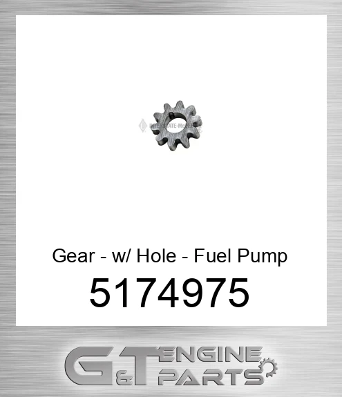 5174975 Gear - w/ Hole - Fuel Pump