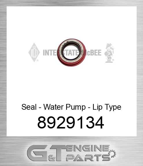 8929134 Seal - Water Pump - Lip Type