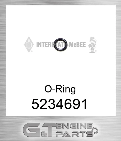 5234691 O-Ring