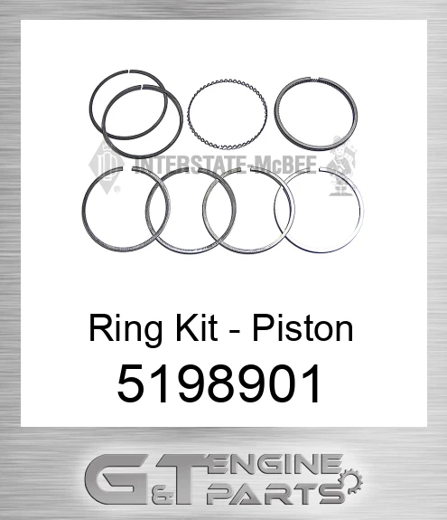 5198901 Ring Kit - Piston