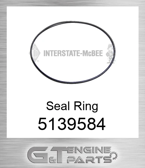 5139584 Seal Ring